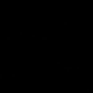 Meet your Posher, Damon